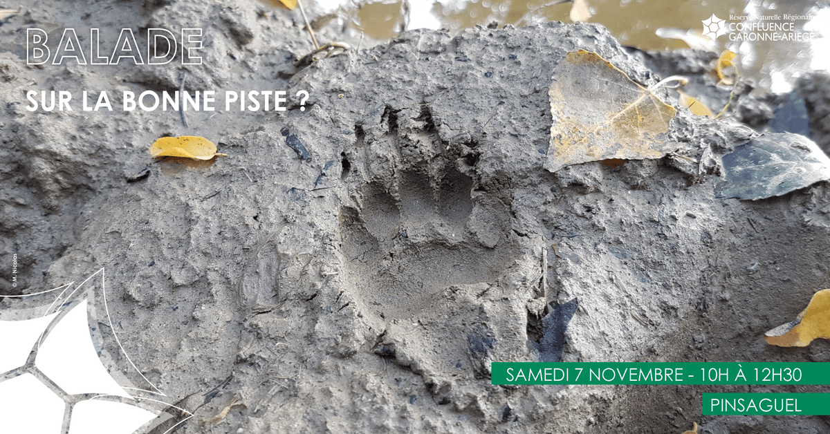 Illustration de l'événement : BALADE – SUR LA BONNE PISTE ?