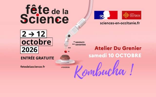 Illustration de l'événement : FAIS TON KOMBUCHA !