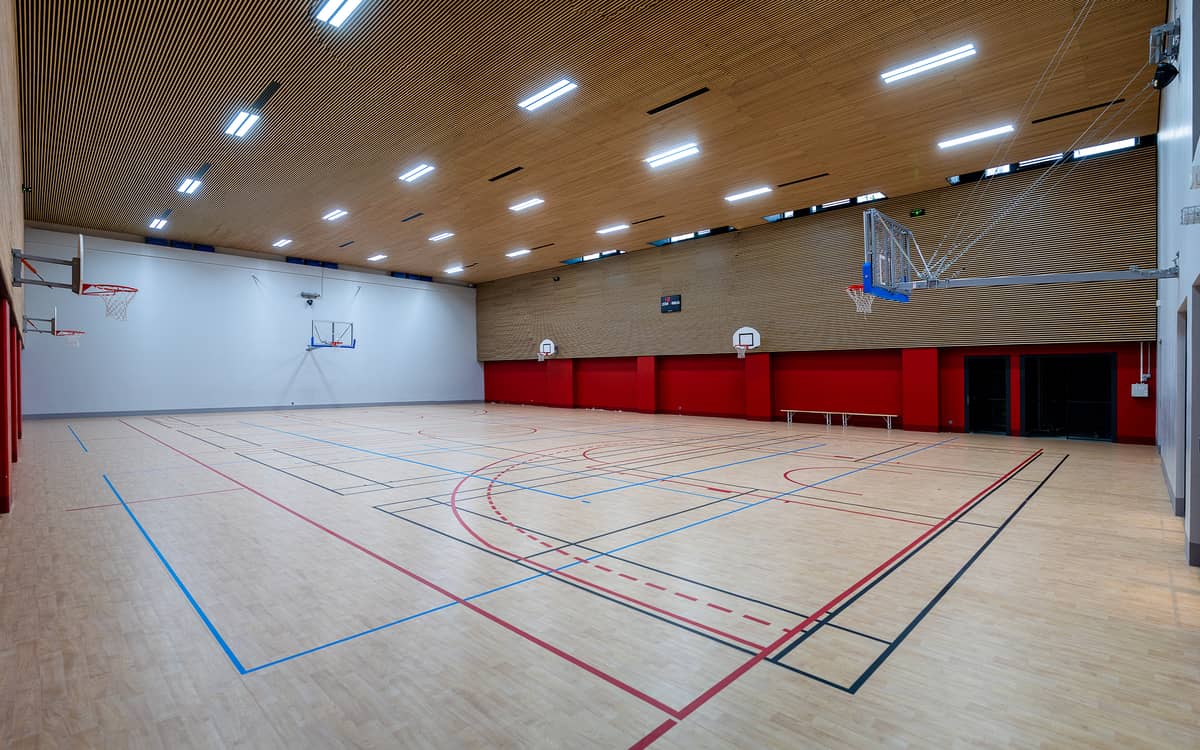 Illustration de l'événement : Paris sport familles : Activites motrices / multisports au gymnase Chapelle International