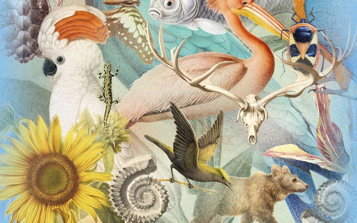 Illustration de l'événement : Remportez des laissez-passer pour l'expo « Artistes au Museum »
