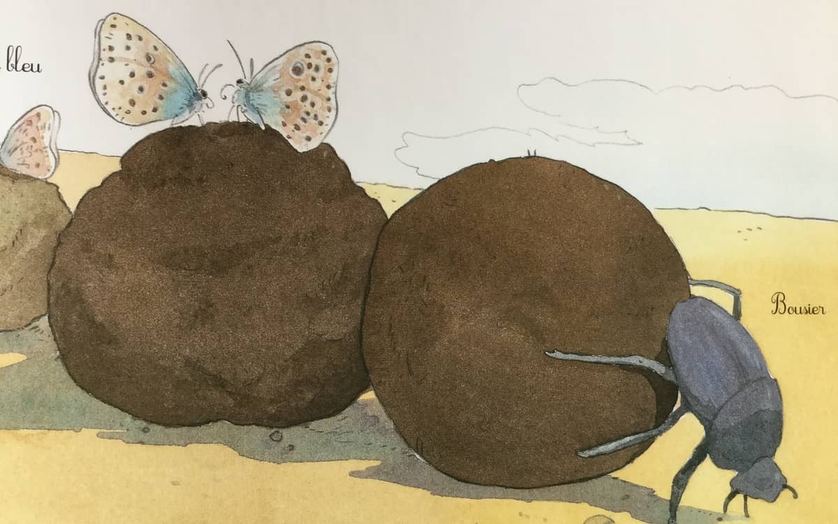 Illustration de l'événement : Crottes de bêtes ! Les excréments des animaux.