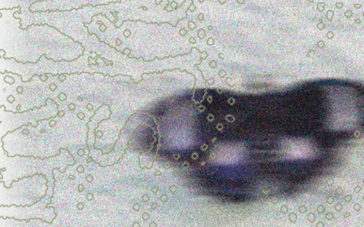 Illustration de l'événement : Ecran vivant : films de patrimoines, concerts et danses