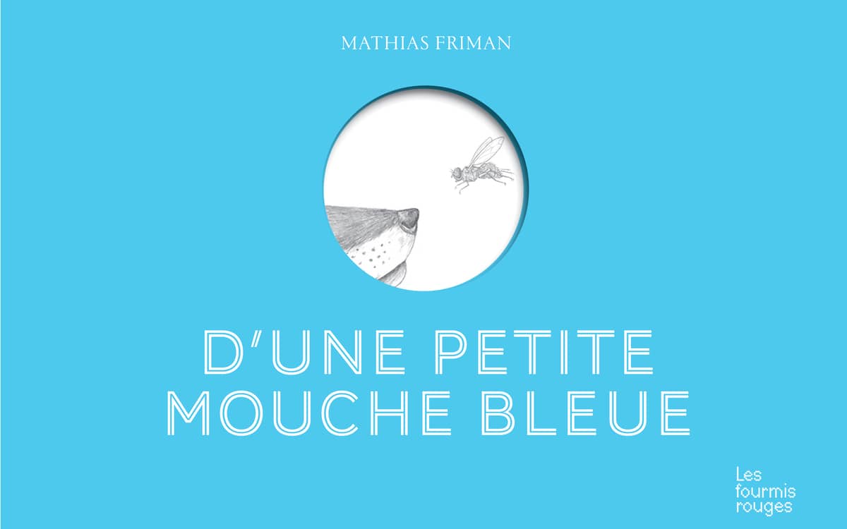Illustration de l'événement : D'une petite mouche bleue