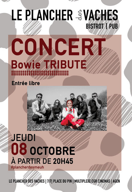 Illustration de l'événement : Bowie Tribute