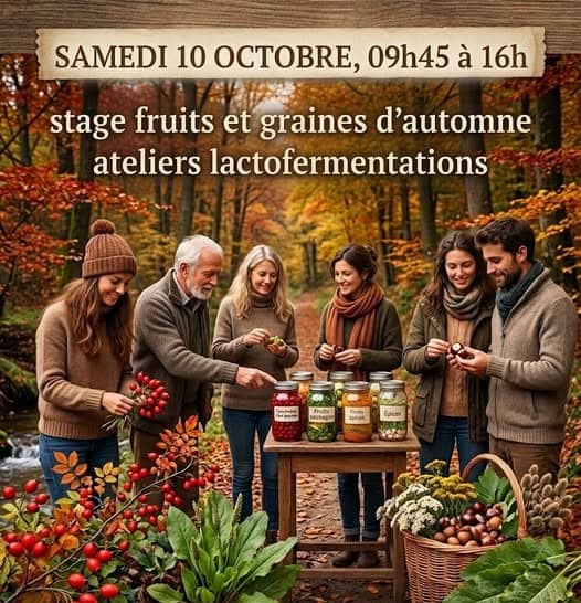 Illustration de l'événement : Stage fruits et graines d'automne