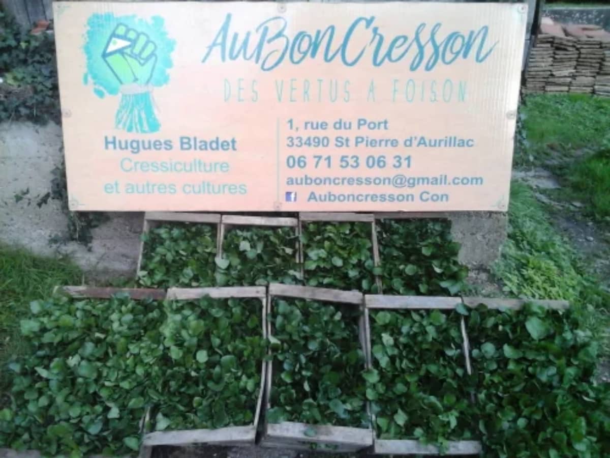Illustration de l'événement : Ici, nos savoir-faire - Visite de l'exploitation "Au bon Cresson"