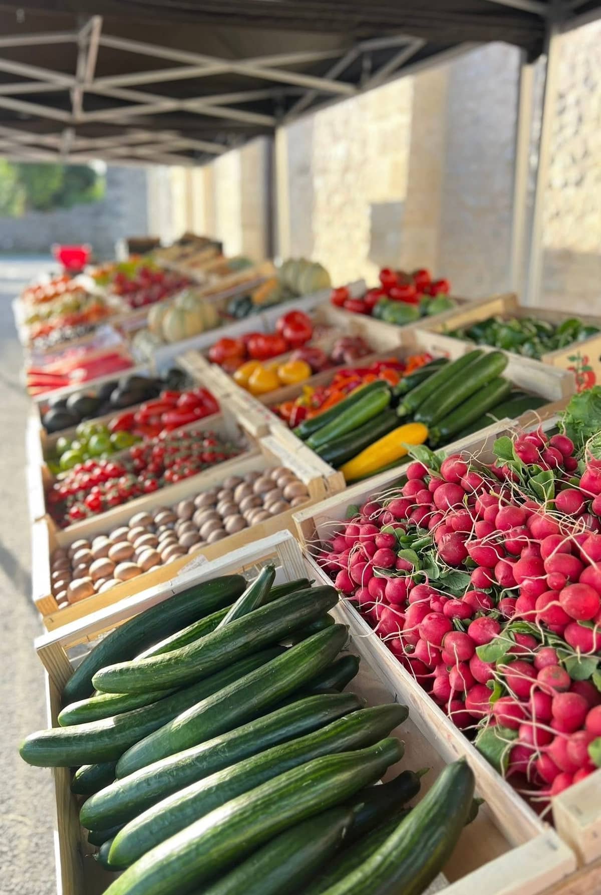 Illustration de l'événement : Marché dominical
