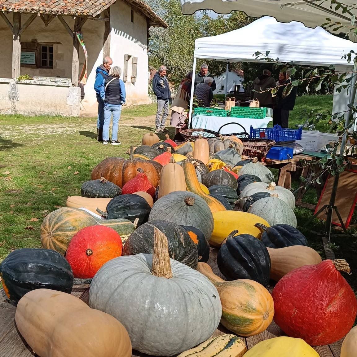 Illustration de l'événement : Fête de l'automne - Ferme du Parcot