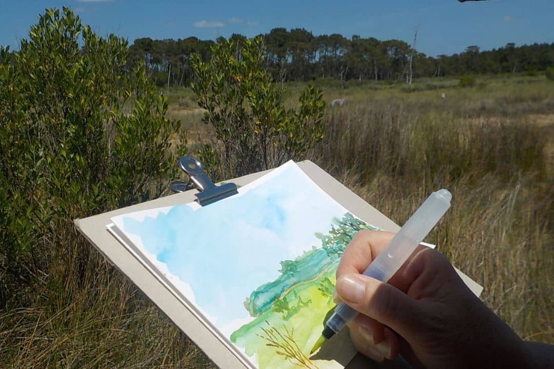 Illustration de l'événement : Sortie aquarelle sur les oiseaux