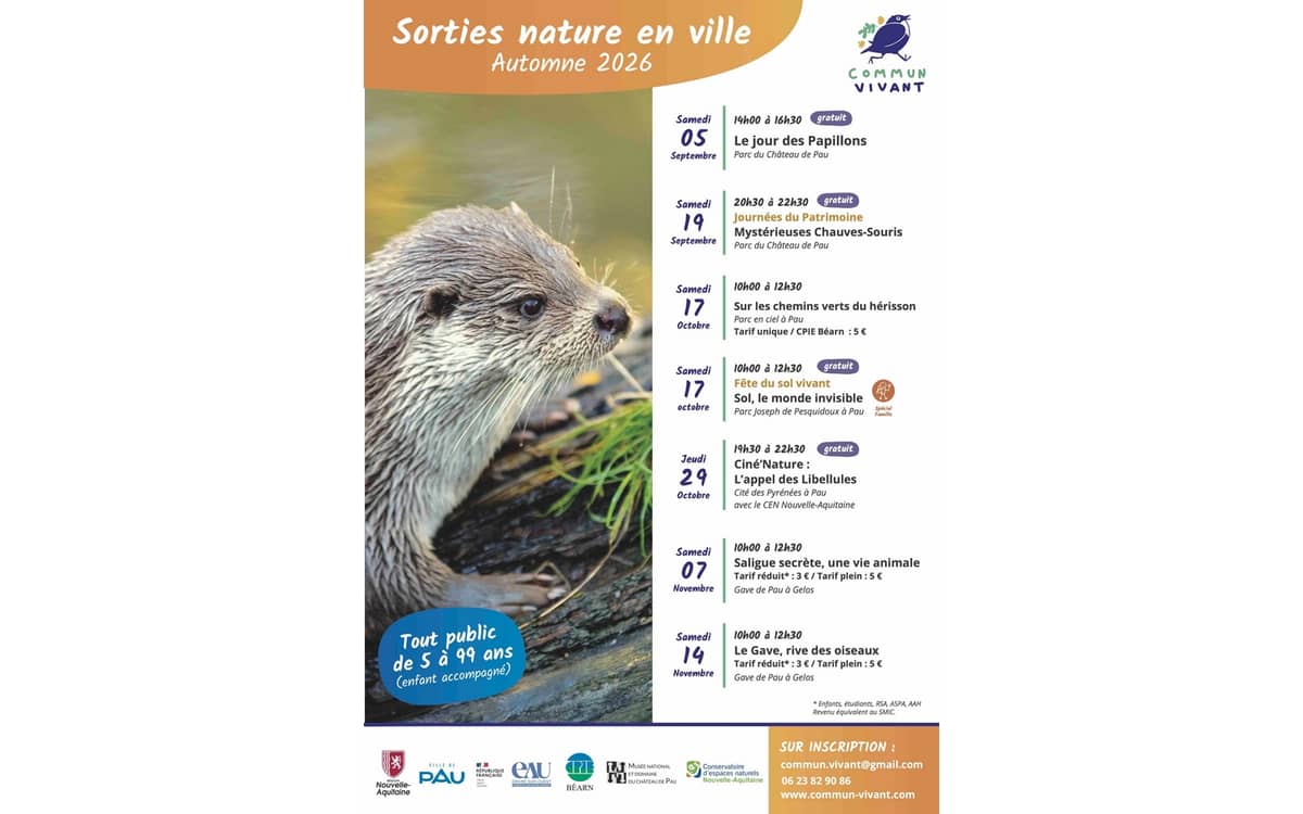 Illustration de l'événement : Ciné’Nature - L’appel des Libellules