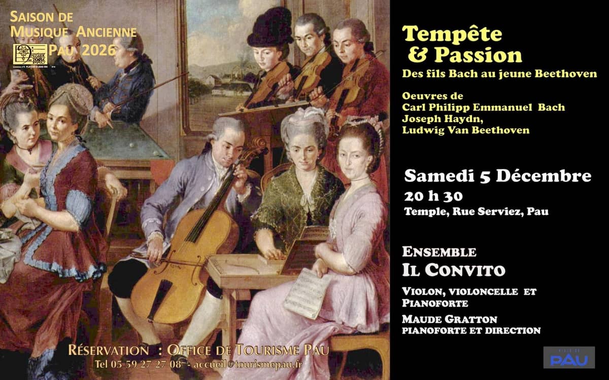 Illustration de l'événement : “Tempête & Passion - Des fils Bach au jeune Beethoven"