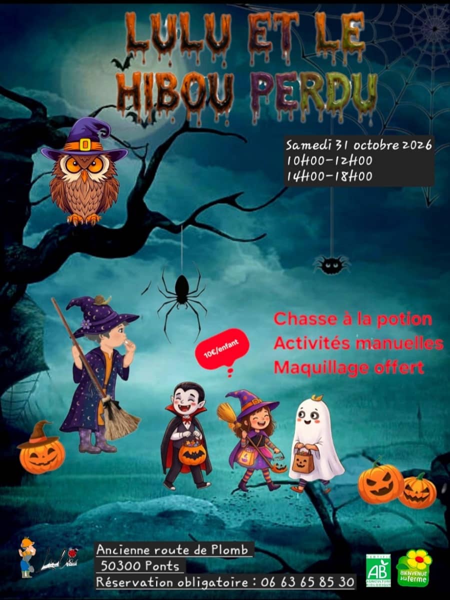 Illustration de l'événement : Halloween > Lulu et le hibou perdu