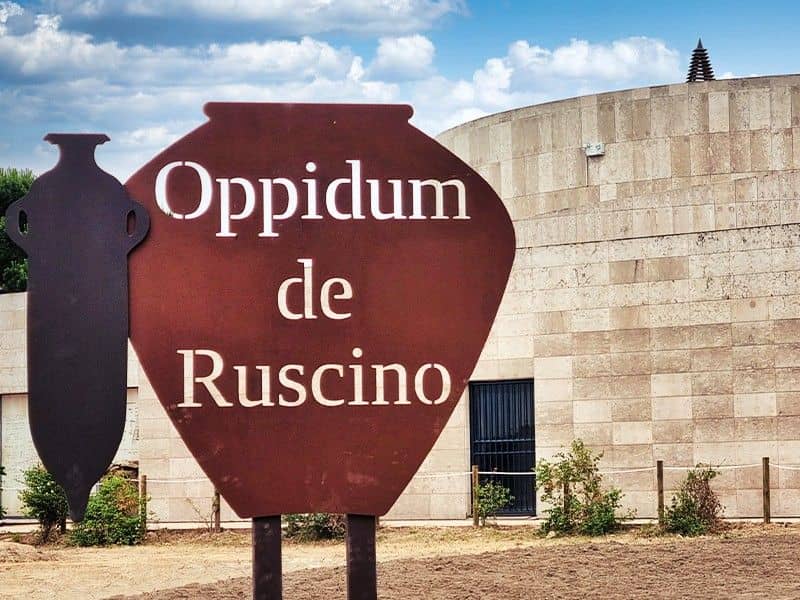 Illustration de l'événement : LES INSCRIPTIONS ROMAINES À RUSCINO