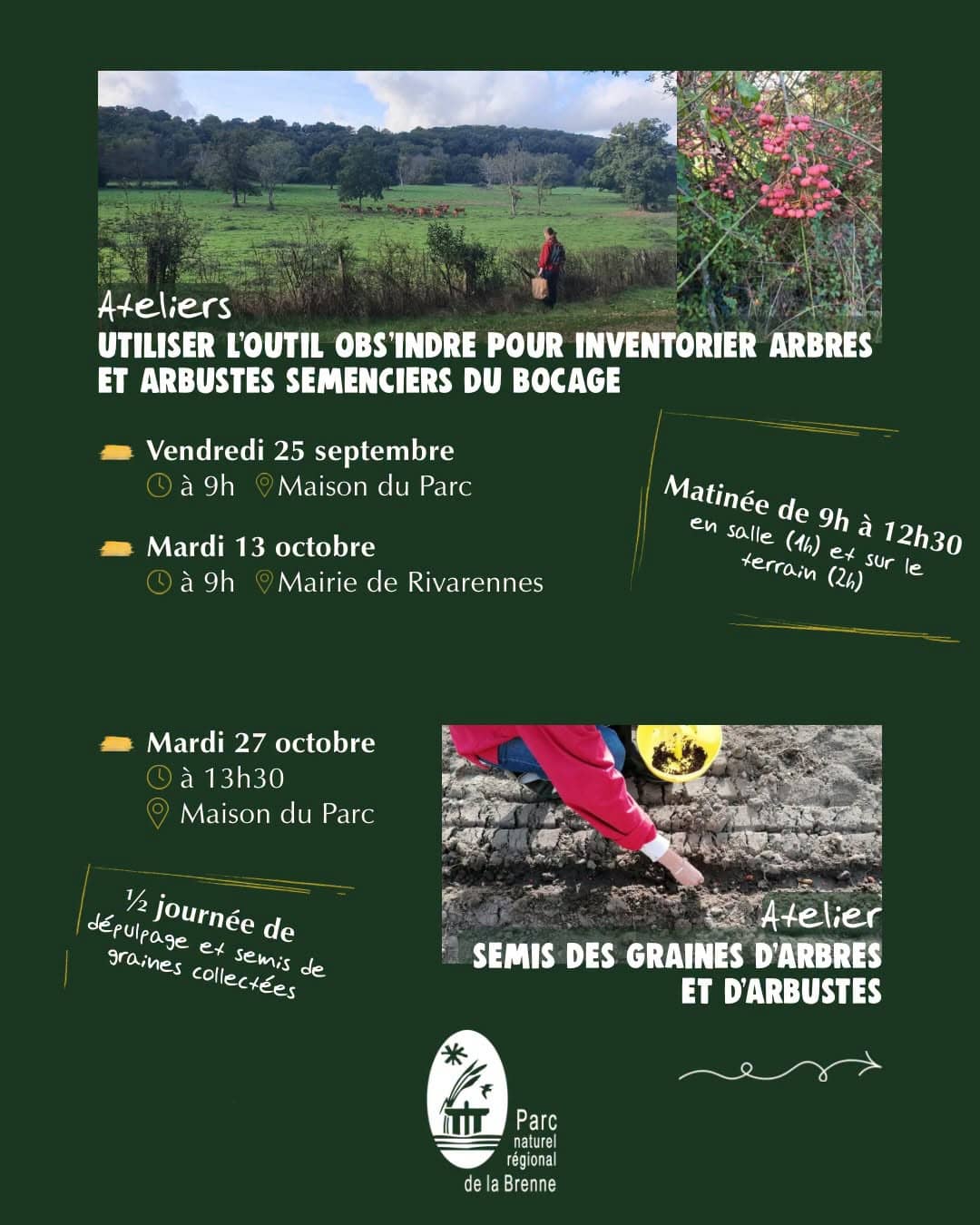 Illustration de l'événement : Apprendre à utiliser l’outil Obs’Indre pour inventorier des arbres et arbustes semenciers du bocage, récolte de leurs graines