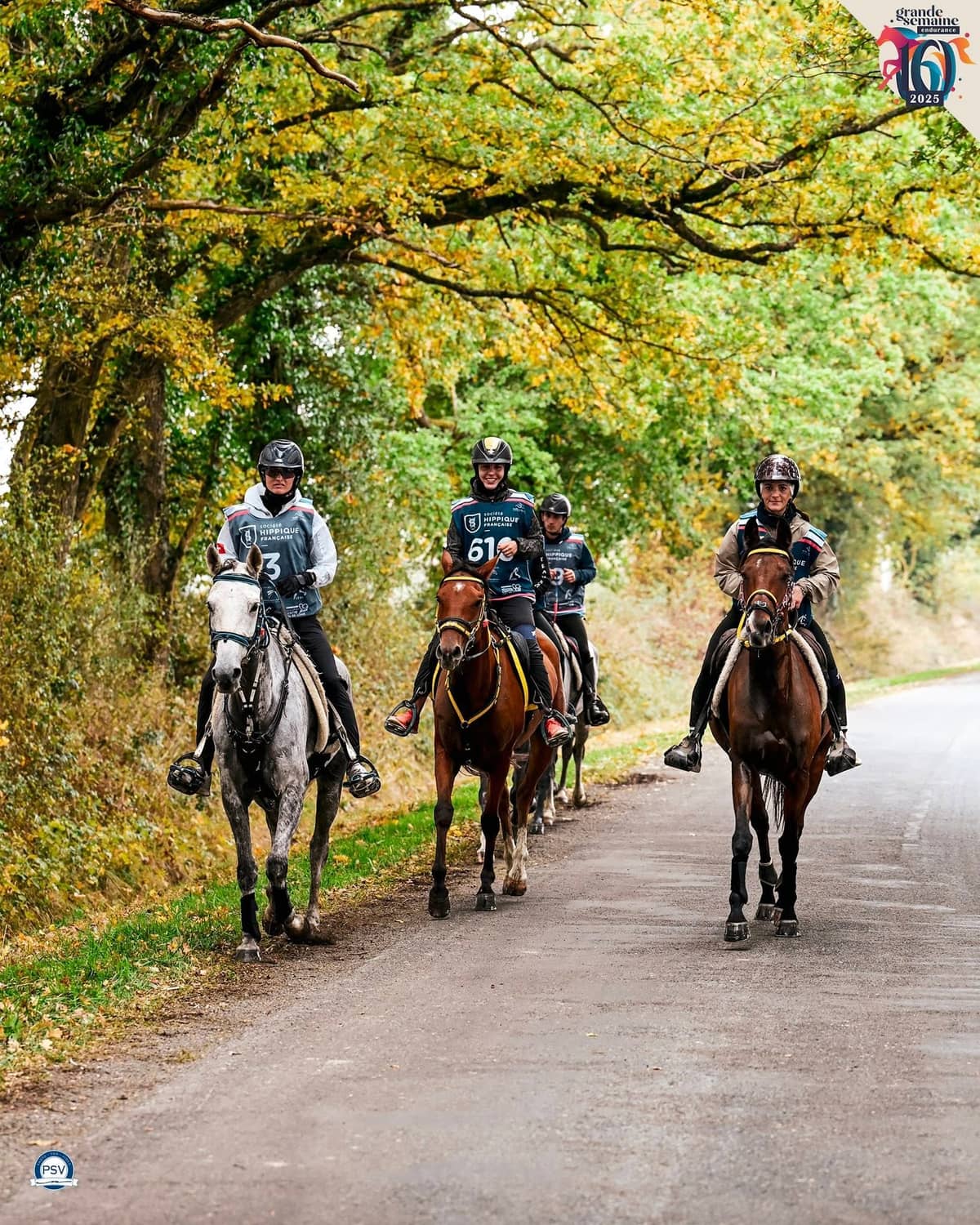 Illustration de l'événement : Finale nationale jeunes chevaux d’endurance