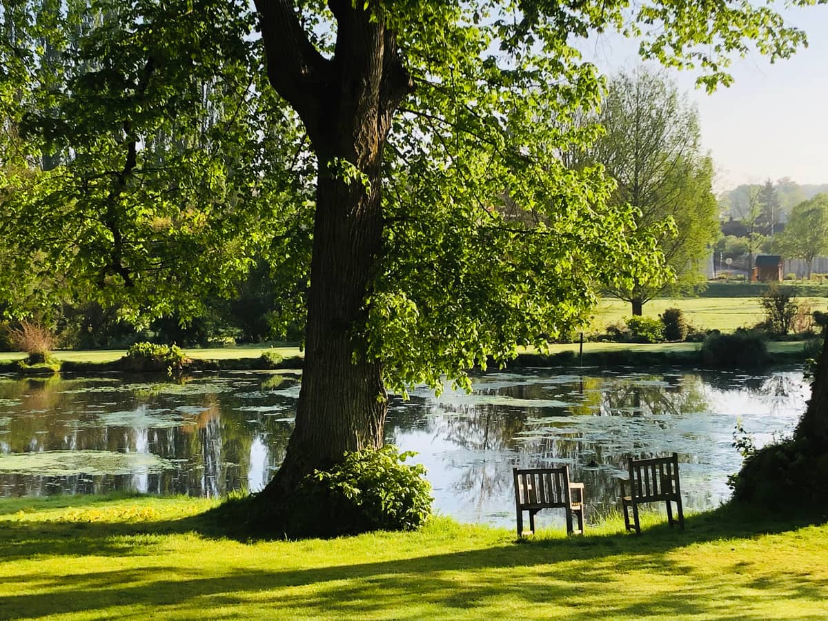 Illustration de l'événement : Rendez-vous aux jardins du Plessis Sasnières