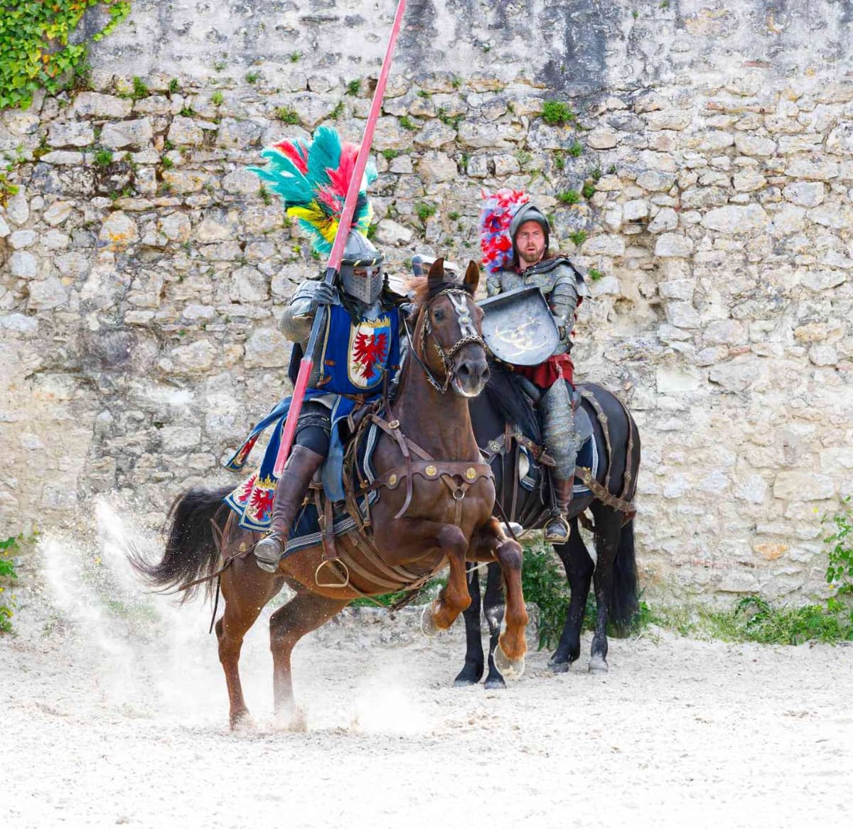 Illustration de l'événement : Spectacle équestre de Chambord
