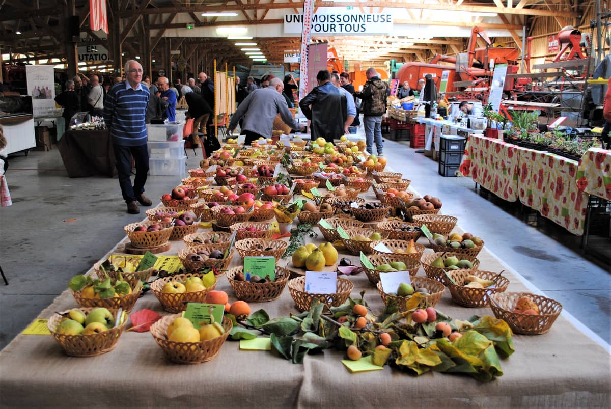 Illustration de l'événement : Marché du Terroir au MUMAR (Musée de la Machine Agricole) et vide-greniers