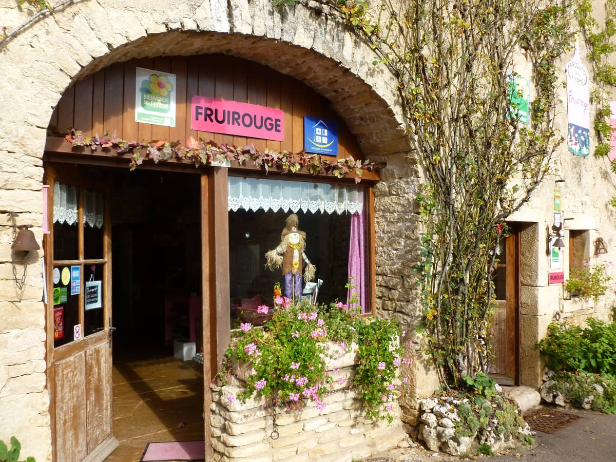 Illustration de l'événement : L'automne à la ferme Fruirouge : Trois rendez-vous autour du cassis pour Vignobles en Scène