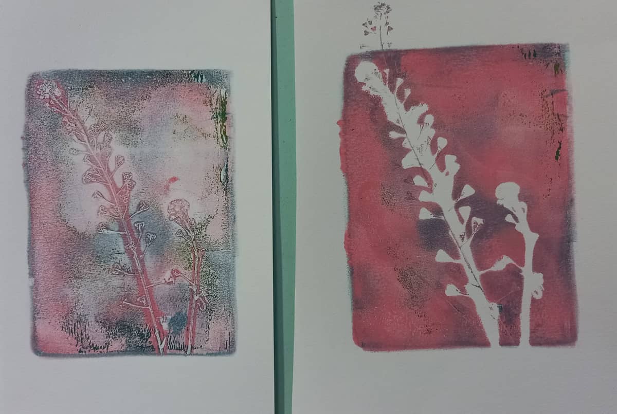 Illustration de l'événement : Atelier Gelly Print (impression végétale) - Atelier pour les 7/12 ans