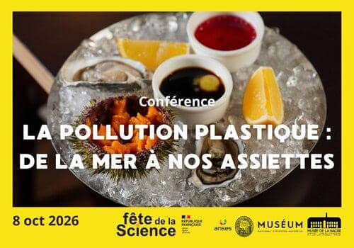 Illustration de l'événement : [FETE DE LA SCIENCE 2026] Conférence – « La pollution plastique : de la mer à nos assiettes »