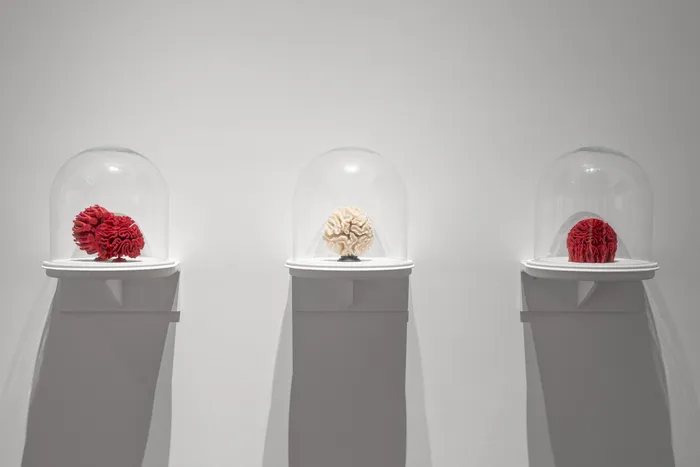 Illustration de l'événement : Visite de l'exposition "À l'écoute du vivant, biomimétisme entre arts et sciences"