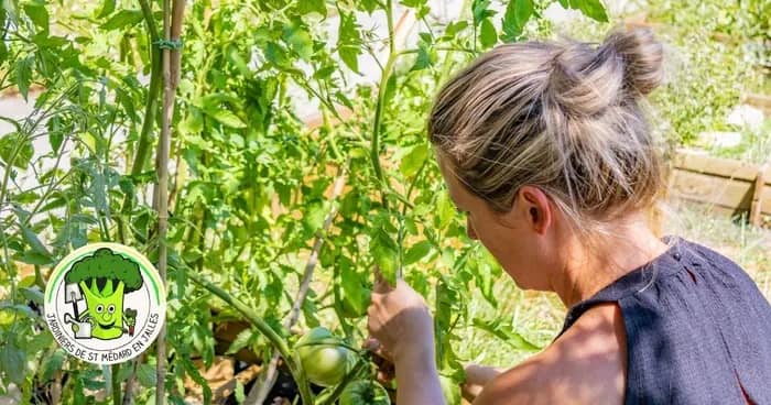 Illustration de l'événement : Un beau jardin, grâce aux feuilles et végétaux de fin d'année