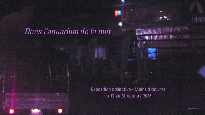 Illustration de l'événement : Dans l'aquarium de la nuit