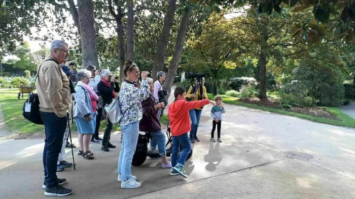 Illustration de l'événement : Sortie nature : Les oiseaux des villes au Parc de la Gaudinière