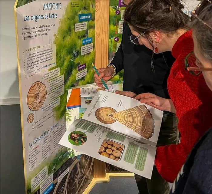Illustration de l'événement : Exposition l’arbre et ses secrets