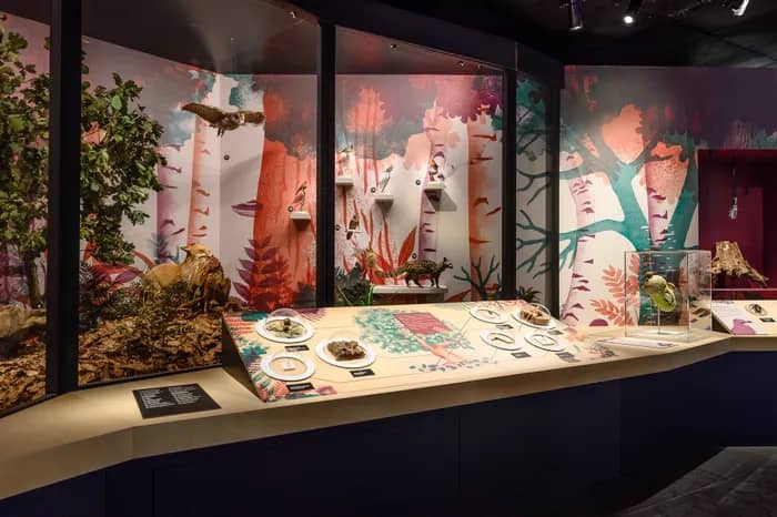 Illustration de l'événement : Visite de l'espace Biodiversité en LSF