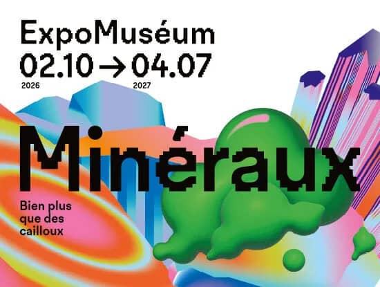 Illustration de l'événement : Minéraux, bien plus que des cailloux