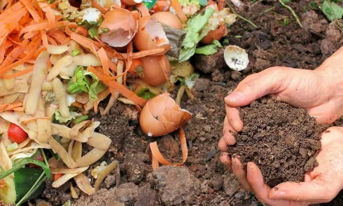 Illustration de l'événement : SEVRES - ♻️Découverte du compostage avec un maitre composteur 🌱