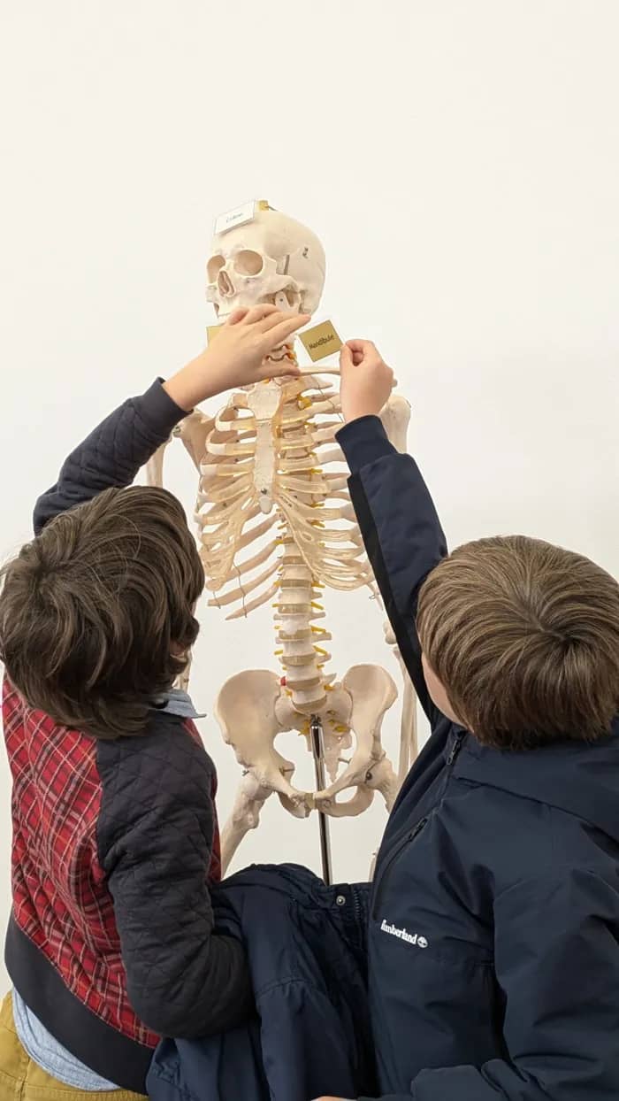 Illustration de l'événement : Atelier faire parler les morts, l’archéo-anthropologie
