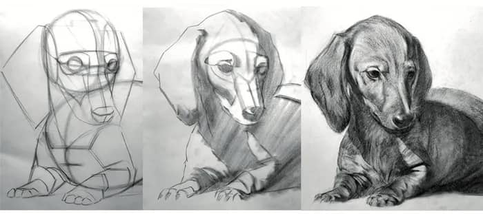 Illustration de l'événement : Mon animal en dessin