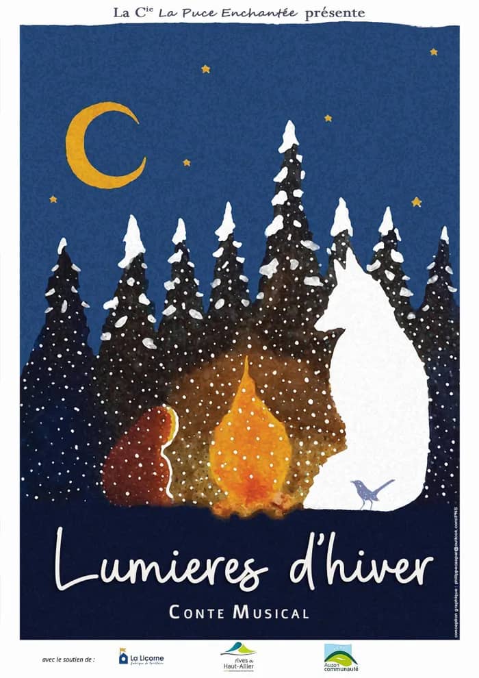 Illustration de l'événement : Spectacle "Lumières d'hiver"