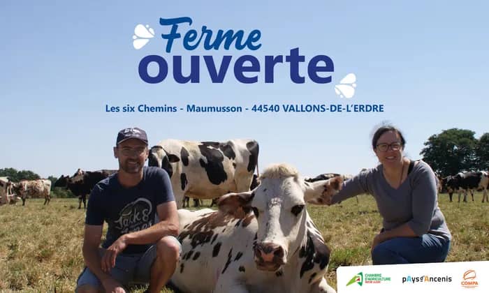 Illustration de l'événement : Ferme ouverte en élevage laitier (44)
