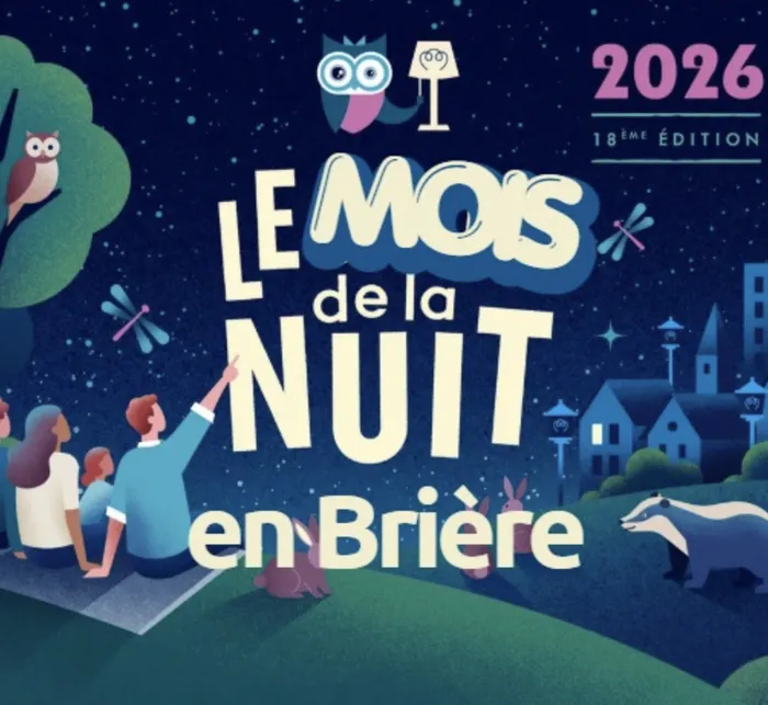 Illustration de l'événement : COMPLET - Atelier bricolage - Créez un gite pour les chauves-souris !