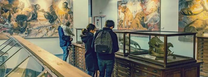 Illustration de l'événement : Visite guidée du musée de géologie #FDS2026