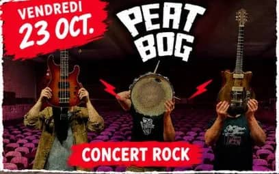 Illustration de l'événement : Concert rock - PeatBog