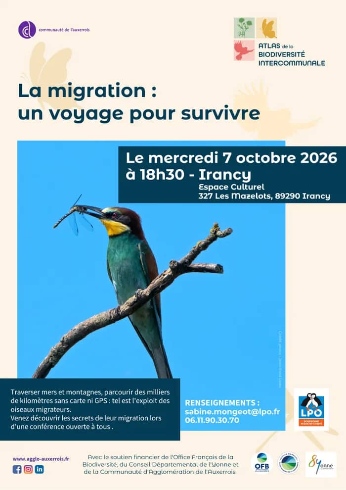 Illustration de l'événement : La migration : un voyage pour survivre