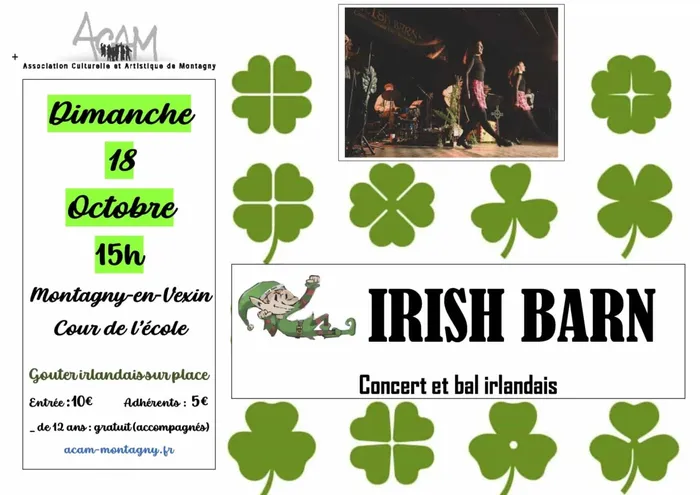 Illustration de l'événement : Concert et Bal irlandais