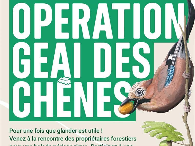 Illustration de l'événement : Opération Geai des chênes