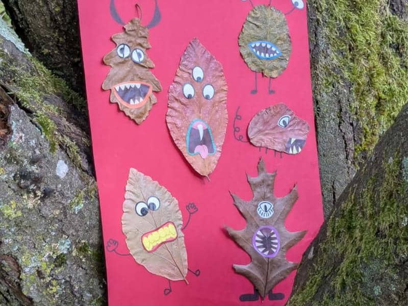 Illustration de l'événement : Atelier enfants (5-10 ans) - Le monstre caché sous la feuille