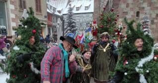 Illustration de l'événement : Déambulation : les sapins