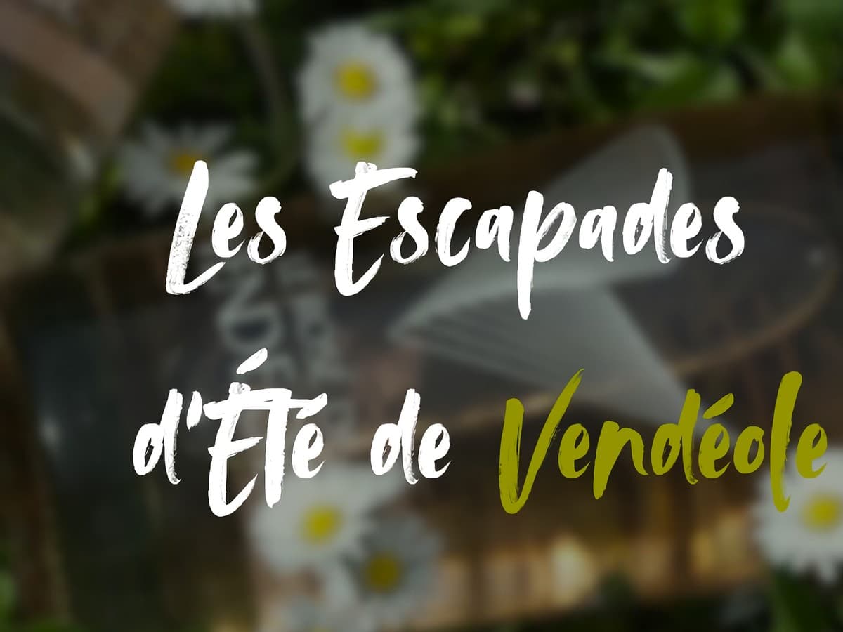 Illustration de l'événement : LES ESCAPADES D'ÉTÉ DE VENDÉOLE - VIGNES & VERRES