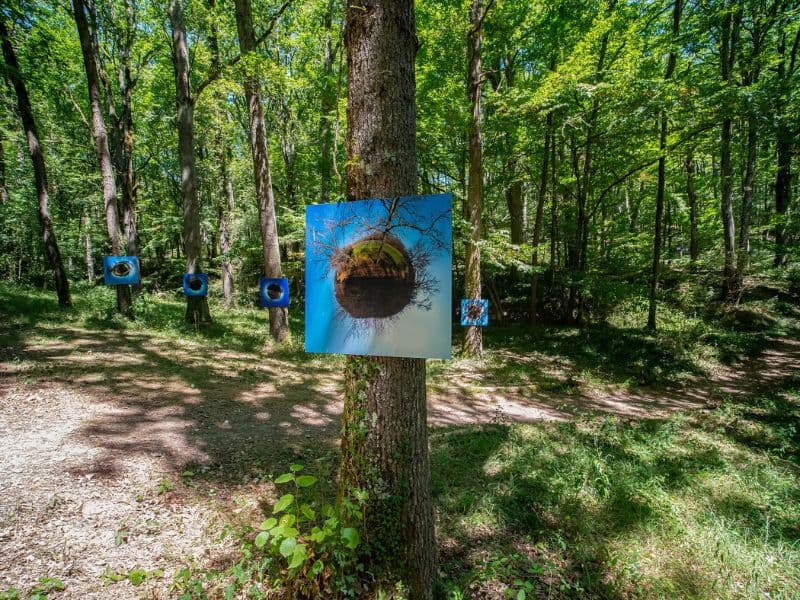 Illustration de l'événement : EXPOSITION EN FORÊT.