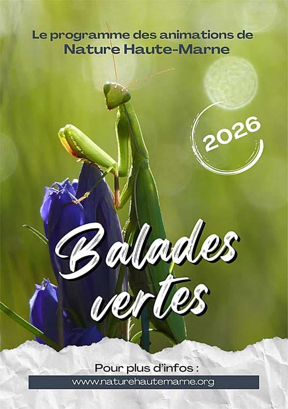 Illustration de l'événement : Balades Vertes en Haute-Marne : Balade hivernale et vin chaud