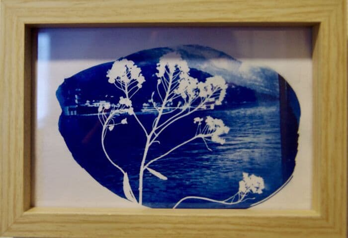 Illustration de l'événement : Atelier Cyanotype