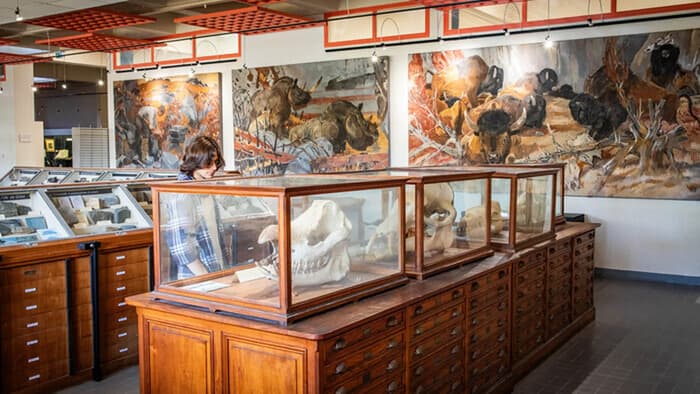 Illustration de l'événement : Visite des collections universitaires